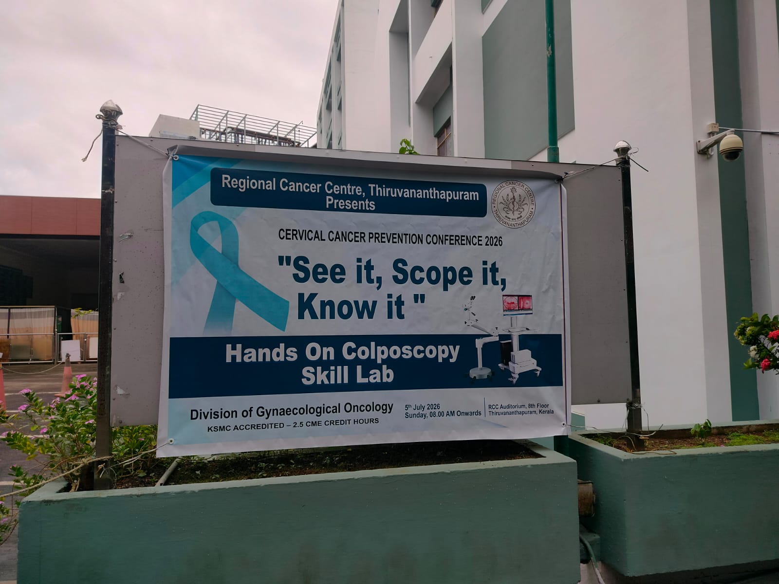 RCC- Division of Gynecological Oncology